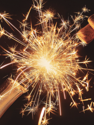 Nieuwjaarsreceptie 2026 - Leden