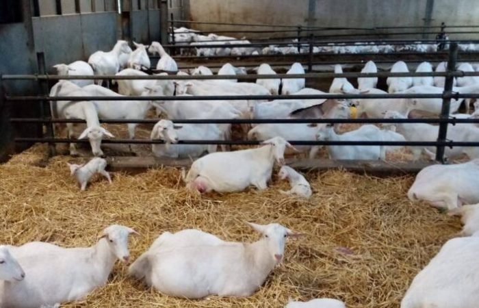 643406598_1412220020945455_1821195362378677051_n